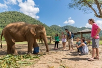 Elephant Nature Park - Single Day