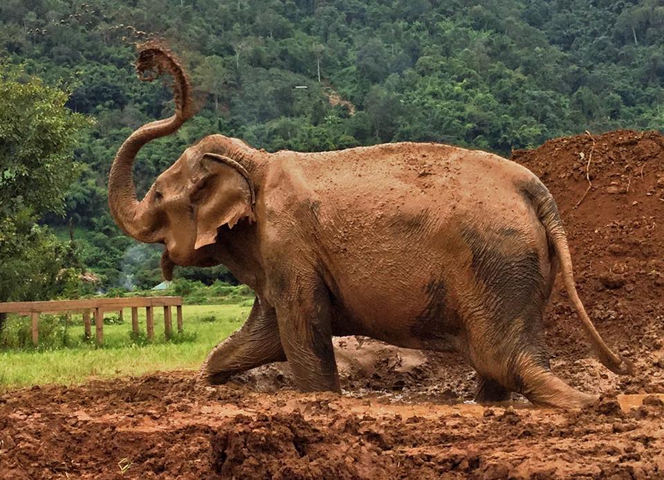 Bai Cha’s story, many decades of working life until the last five years of freedom at ENP.